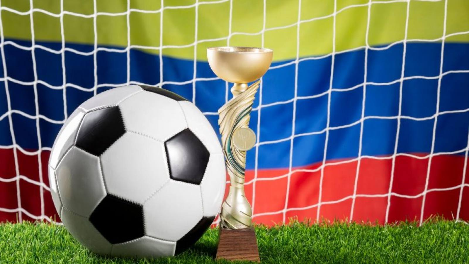 必一运动(B-Sports)官方网站新闻资讯栏目：运动知识与行业动态阅读场景